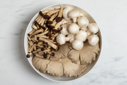 Preparazione Vellutata di funghi - Fase 1 Preparazione Vellutata di funghi - Fase 1