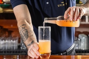 Preparazione Paloma - Fase 3