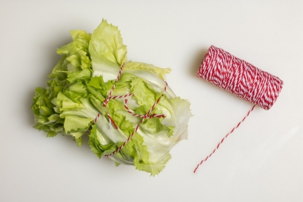 Preparazione Scarola ripiena in padella - Fase 2 Preparazione Scarola ripiena in padella - Fase 2