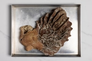 Preparazione Lampredotto - Fase 2