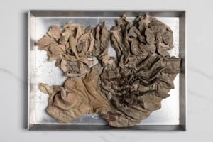 Preparazione Lampredotto - Fase 3