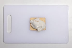 Preparazione Biscotti gelato con Oro Saiwa - Fase 2