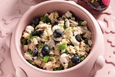 Pollo con avena, fagiolini e mirtilli