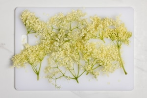 Preparazione Sciroppo di sambuco - Fase 1