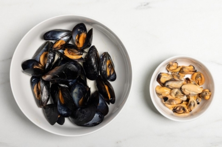 Preparazione Cozze alla tarantina - Fase 2 Preparazione Cozze alla tarantina - Fase 2