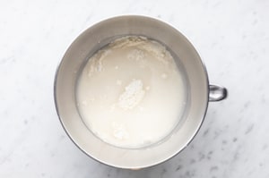 Preparazione Pinsa - Fase 1