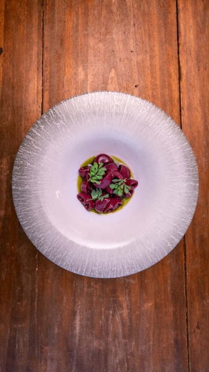 Conchiglie aglio, olio, peperoncino, frutti rossi e ruta