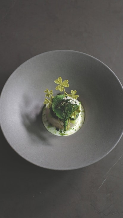 Medaglione di merluzzo con pak choi e salsa marmorizzata 