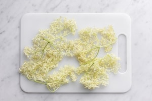 Preparazione Fiori di sambuco fritti - Fase 1