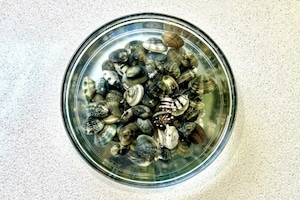 Preparazione Fregula con le vongole - Fase 1
