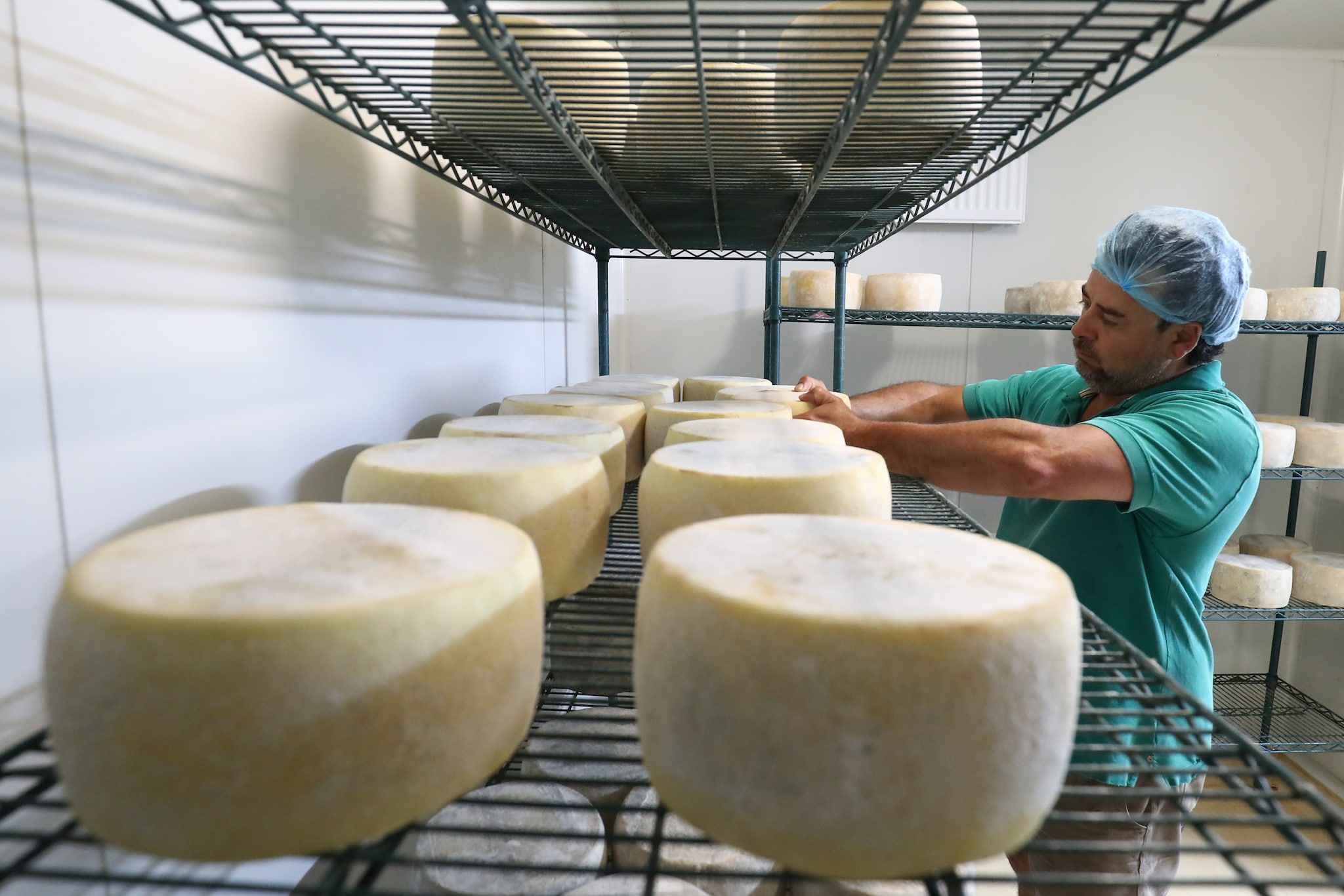 Quali sono i formaggi senza caglio e che cos'è il caglio, spiegato facile -  Cucchiaio d'Argento