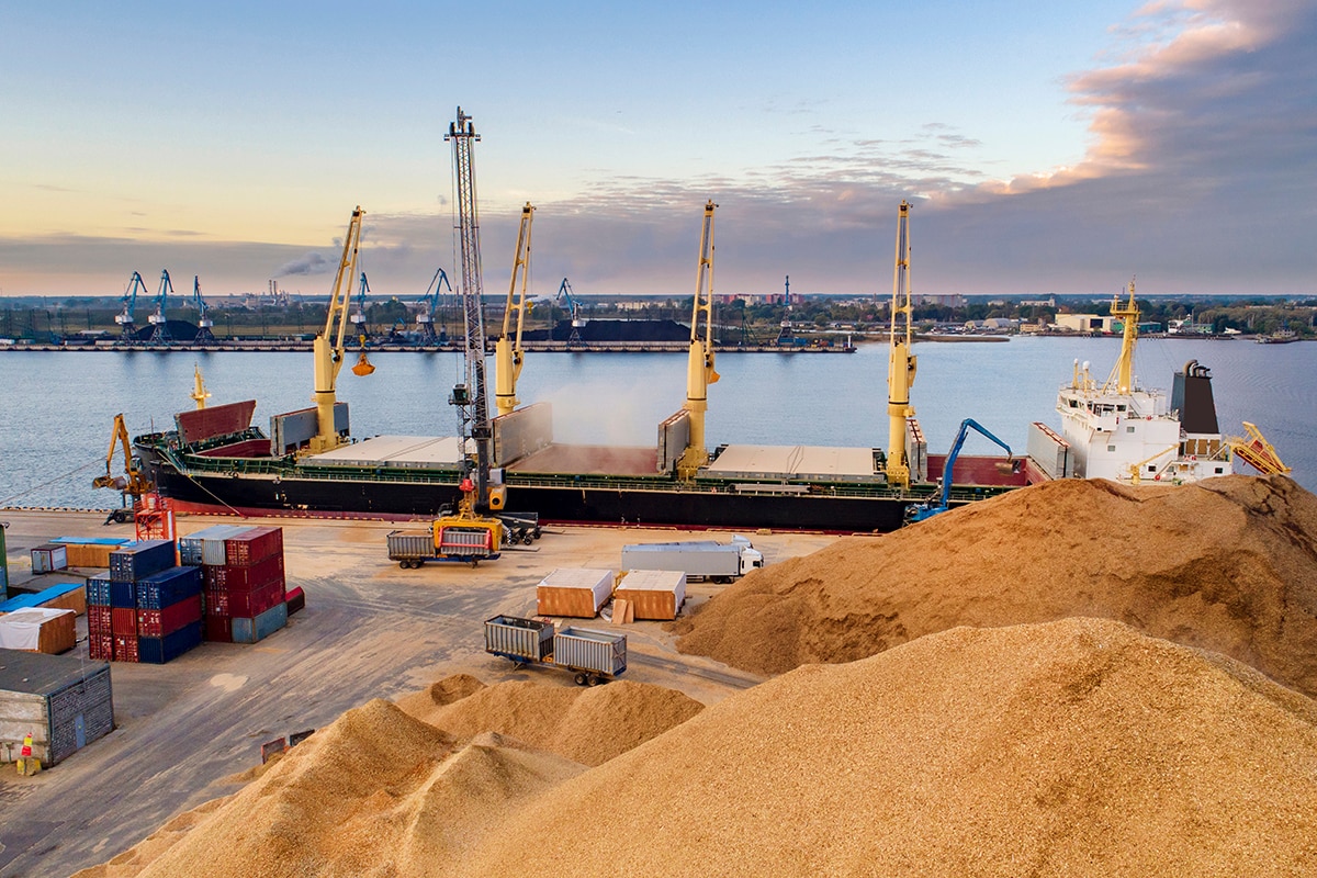 Il grano ucraino è bloccato nei porti: è un problema per noi, ma soprattutto per l’Africa