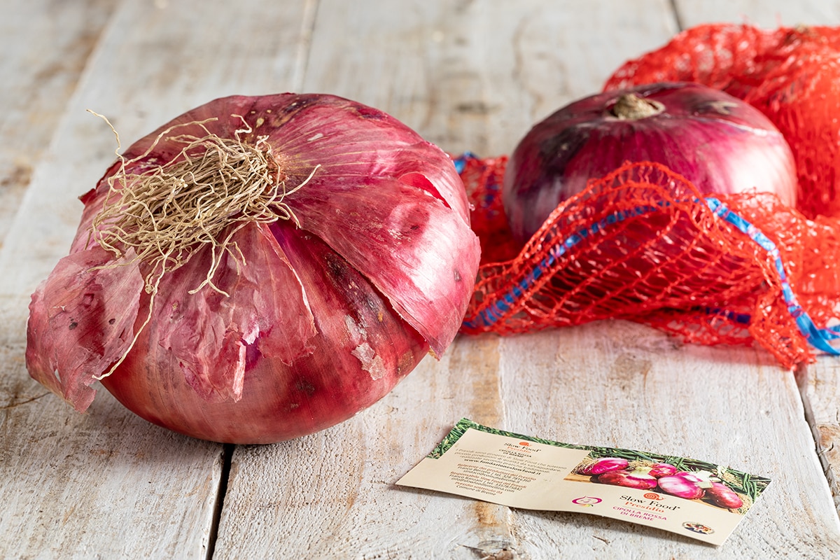 Cipolla Rossa di Breme: proprietà, caratteristiche e storia di un'eccellenza italiana