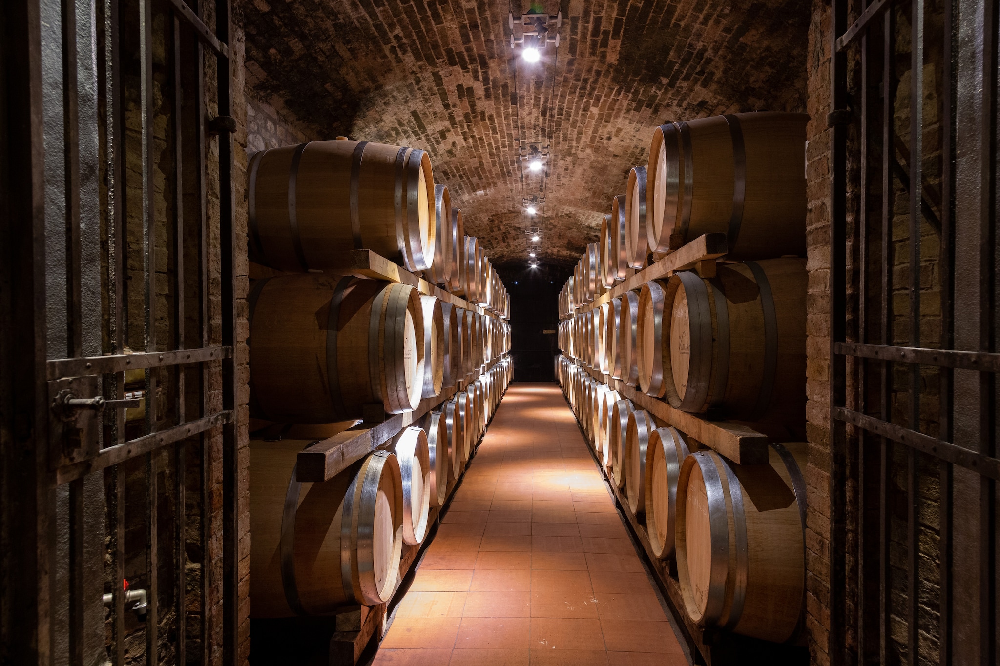 Storie di vino e di famiglia: i 140 anni delle Tenute Piccini