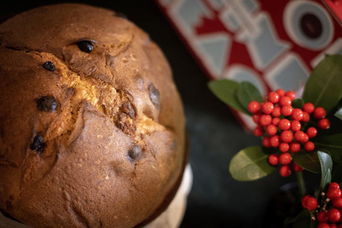 Tempo di panettone! Storia, tendenze e curiosità sul dolce simbolo del Natale