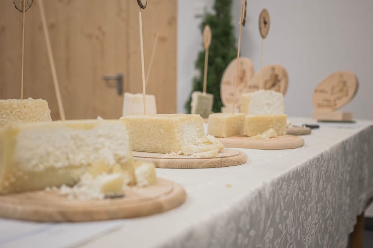 Hai mai sentito parlare del "formaggio grigio" della Valle Aurina? Ecco il Festival che lo racconta