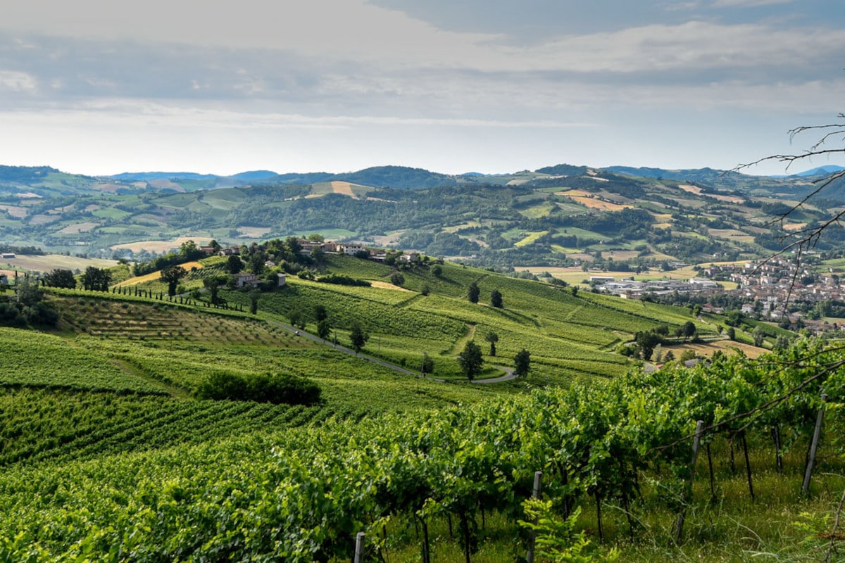 Torna a settembre il Valtidone Wine Fest, la più grande rassegna del vino piacentino