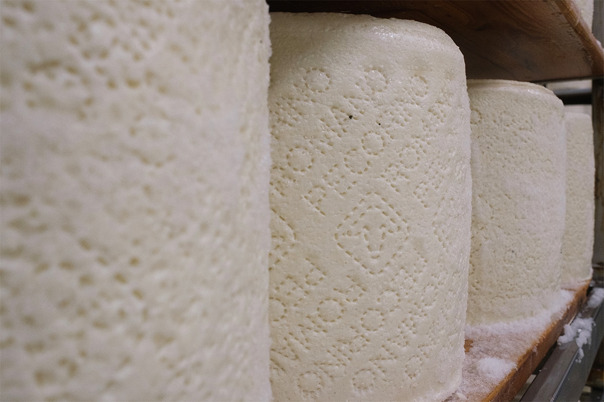 Pecorino Romano DOP: origini, proprietà nutrizionali e versatilità in cucina
