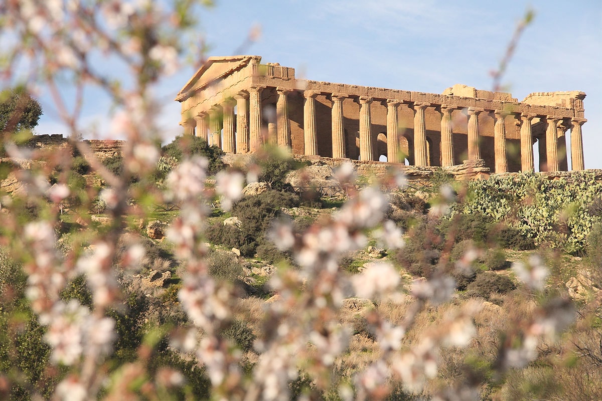 Mandorlo in Fiore 2026: ecco perché visitare Agrigento a marzo