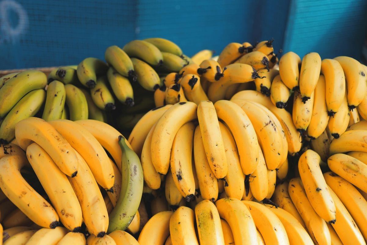La vera storia del Banana Day: dove nasce e come si festeggia 