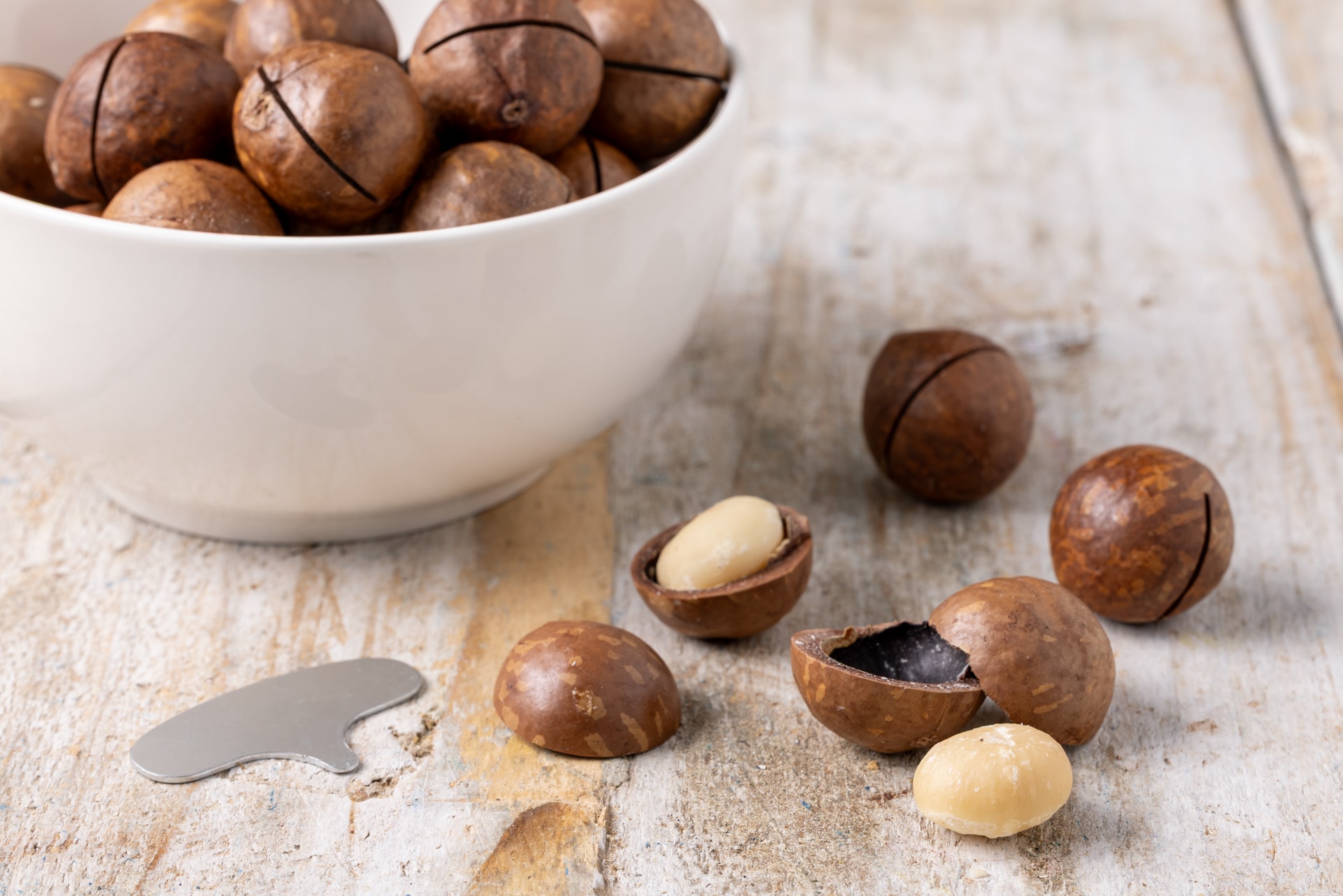 Noci macadamia tra benefici, proprietà e usi in cucina 