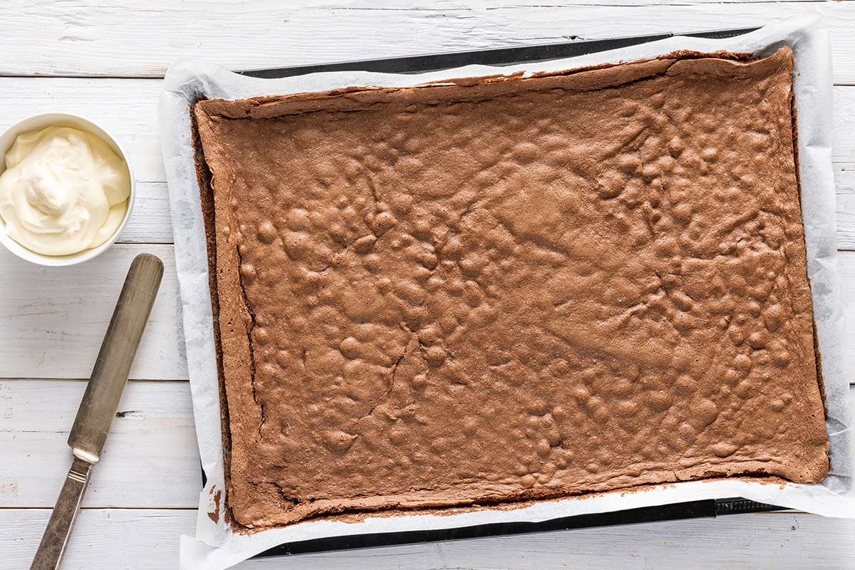 Pasta biscuit al cacao ricetta