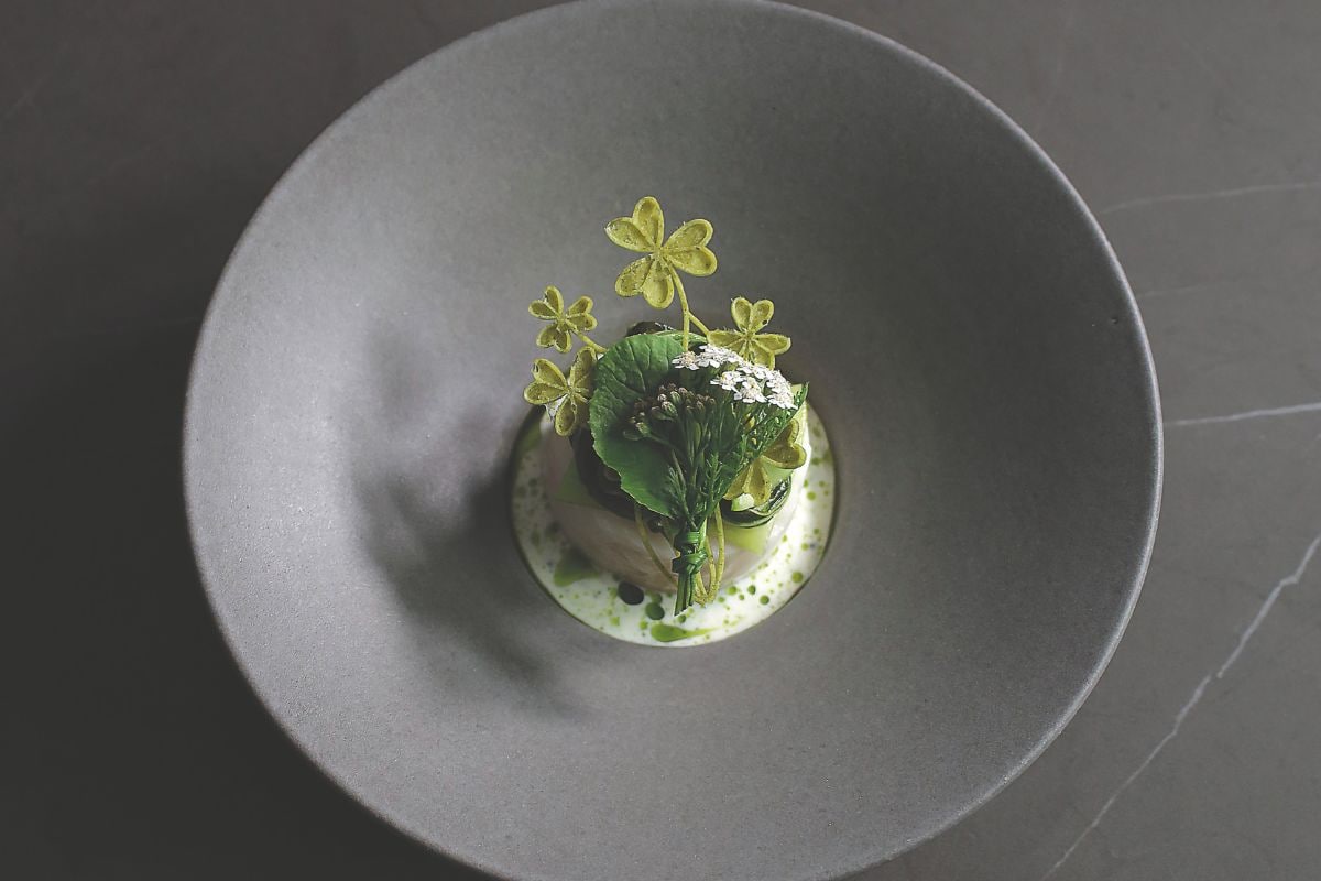 Medaglione di merluzzo con pak choi e salsa marmorizzata  ricetta