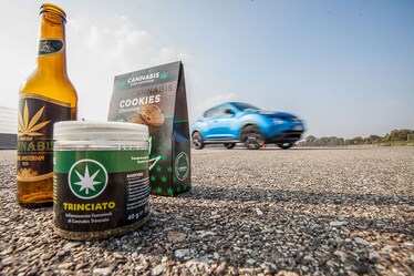 Cannabis in cucina e alla guida: il nostro test con Quattroruote