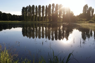 Alla scoperta della Riserva San Massimo e del suo riso Carnaroli