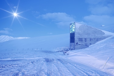 La storia incredibile del Global Seed Vault, il granaio hi-tech delle Svalbard