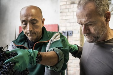 I fratelli Storchi e la rivincita del Lambrusco