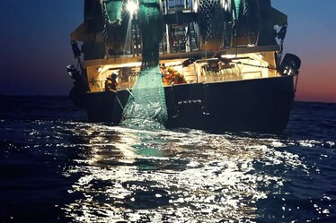 Abbiamo visto Seaspiracy, il documentario di Netflix sulla salute del mare (che non se la passa bene)