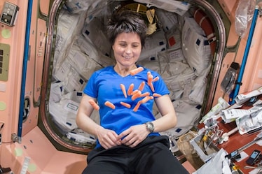 Come si mangia nello Spazio e come mangeremo su Marte: i segreti degli astronauti e di chi gli prepara il cibo